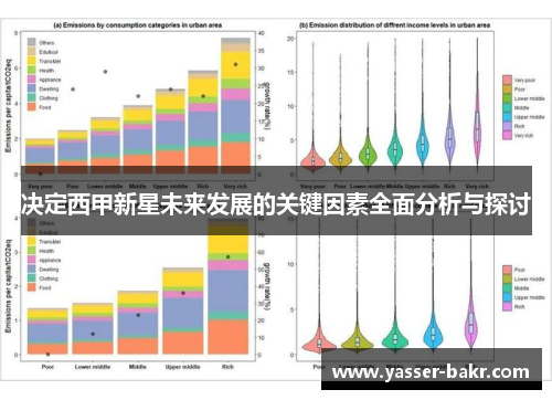 决定西甲新星未来发展的关键因素全面分析与探讨