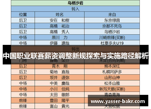 中国职业联赛薪资调整新规探索与实施路径解析