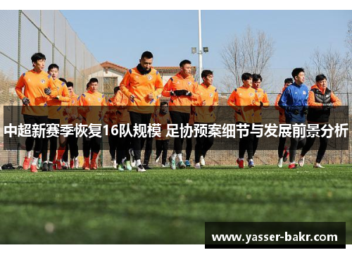中超新赛季恢复16队规模 足协预案细节与发展前景分析