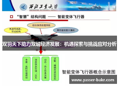 双羽天下助力双城经济发展：机遇探索与挑战应对分析