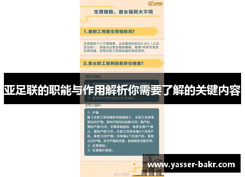 亚足联的职能与作用解析你需要了解的关键内容